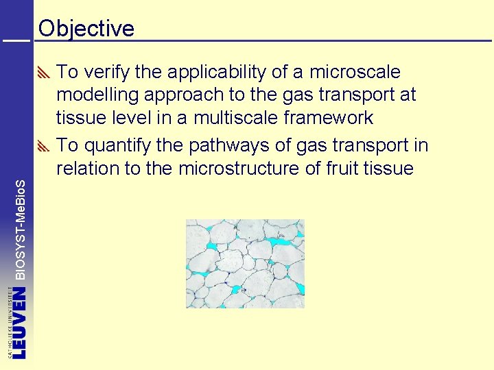 Objective BIOSYST-Me. Bio. S To verify the applicability of a microscale modelling approach to