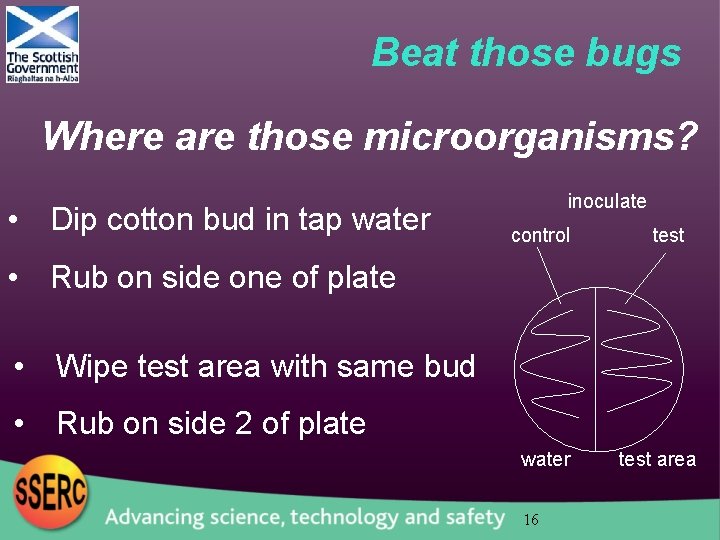 Beat those bugs Where are those microorganisms? • Dip cotton bud in tap water