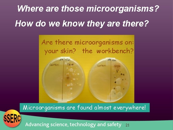 Where are those microorganisms? How do we know they are there? Are there microorganisms