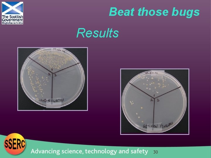 Beat those bugs Results 30 