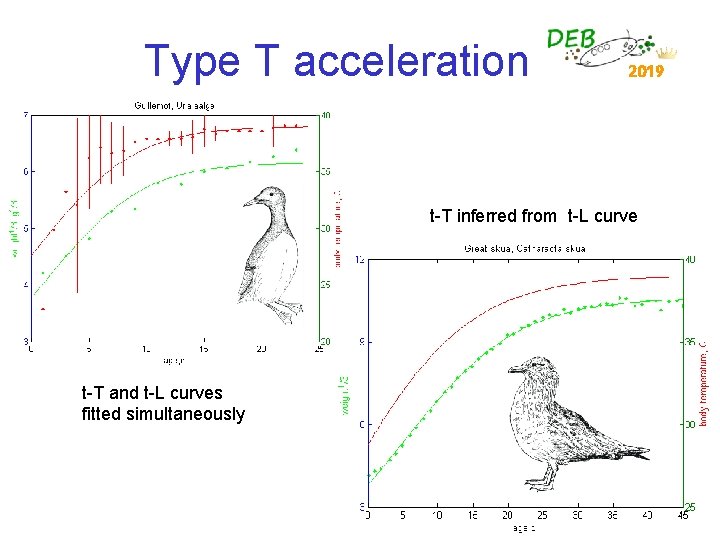 Type T acceleration 2019 t-T inferred from t-L curve t-T and t-L curves fitted