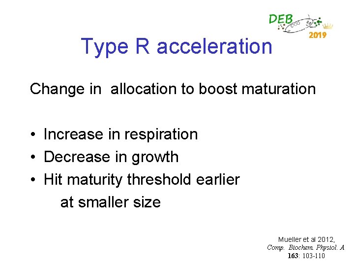 Type R acceleration 2019 Change in allocation to boost maturation • Increase in respiration