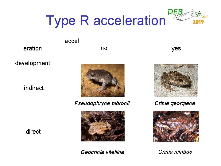 Type R acceleration 2019 accel eration no yes development indirect Pseudophryne bibronii Crinia georgiana