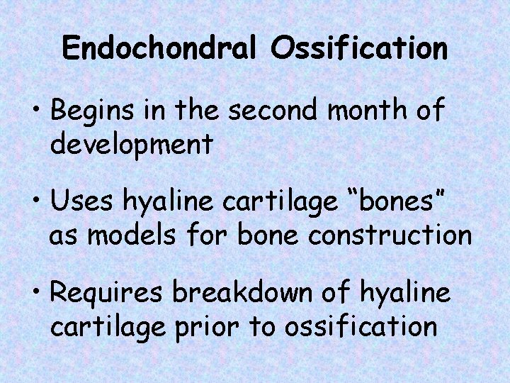 Endochondral Ossification • Begins in the second month of development • Uses hyaline cartilage