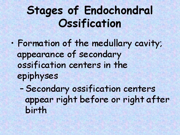 Stages of Endochondral Ossification • Formation of the medullary cavity; appearance of secondary ossification