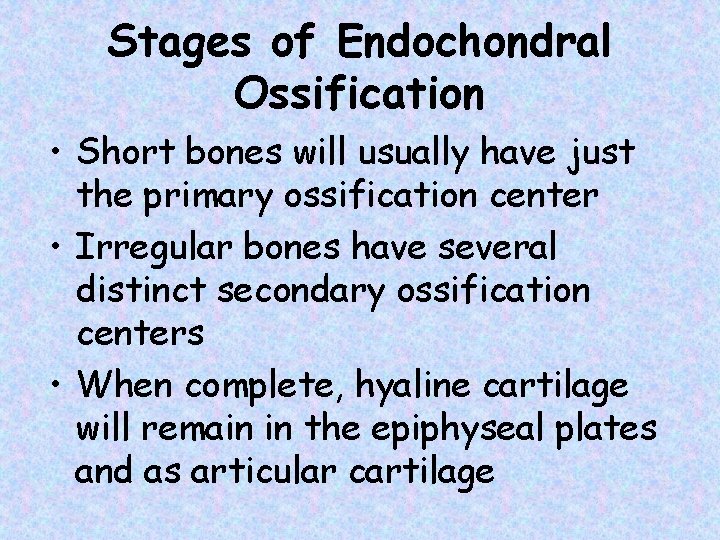 Stages of Endochondral Ossification • Short bones will usually have just the primary ossification