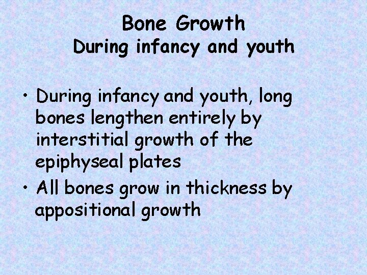 Bone Growth During infancy and youth • During infancy and youth, long bones lengthen