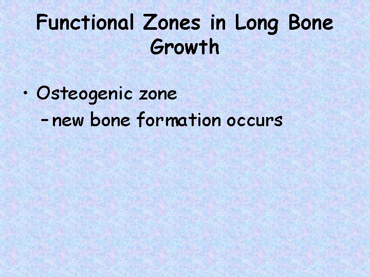 Functional Zones in Long Bone Growth • Osteogenic zone – new bone formation occurs