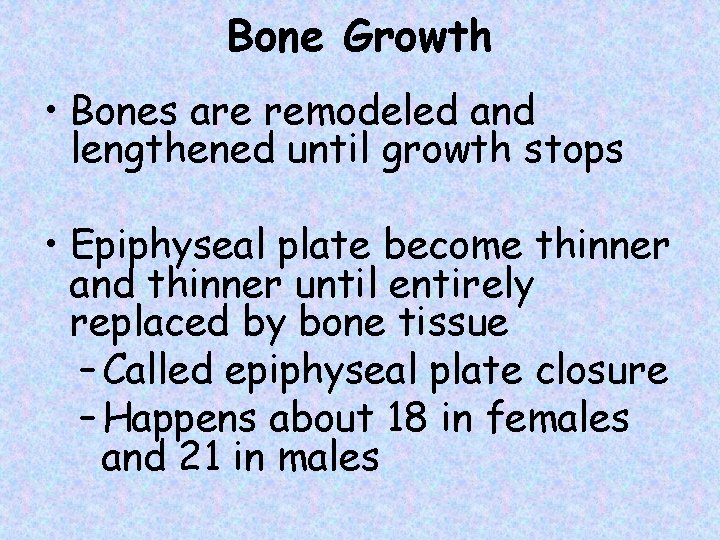 Bone Growth • Bones are remodeled and lengthened until growth stops • Epiphyseal plate