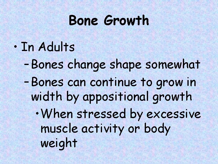 Bone Growth • In Adults – Bones change shape somewhat – Bones can continue