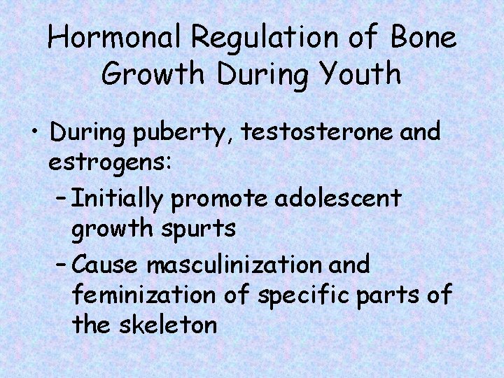 Hormonal Regulation of Bone Growth During Youth • During puberty, testosterone and estrogens: –