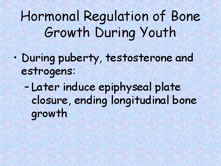 Hormonal Regulation of Bone Growth During Youth • During puberty, testosterone and estrogens: –