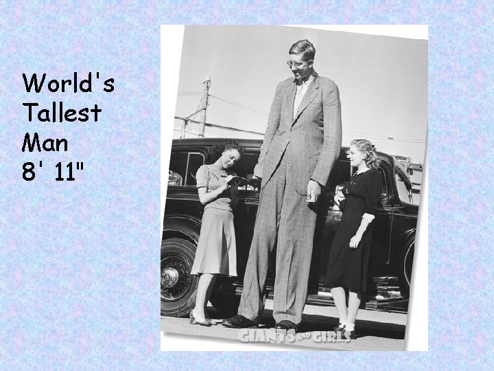 World's Tallest Man 8' 11" 