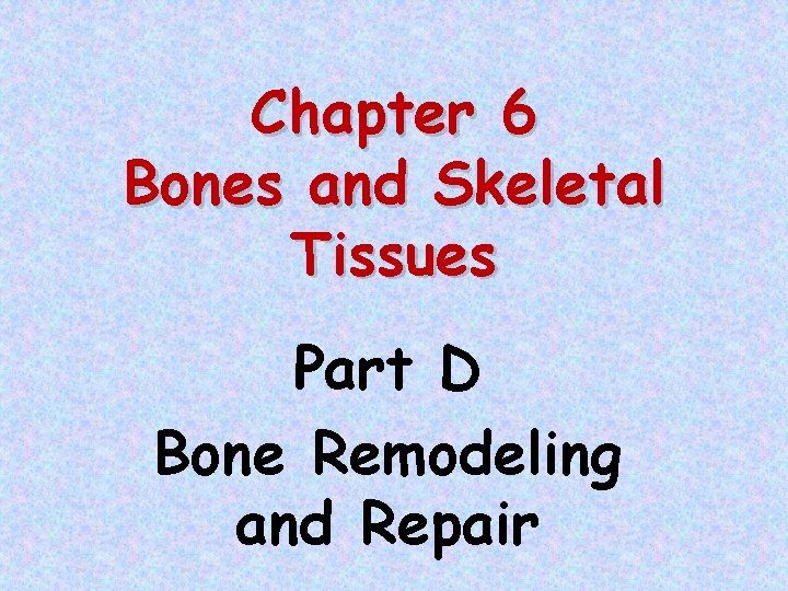 Chapter 6 Bones and Skeletal Tissues Part D Bone Remodeling and Repair 