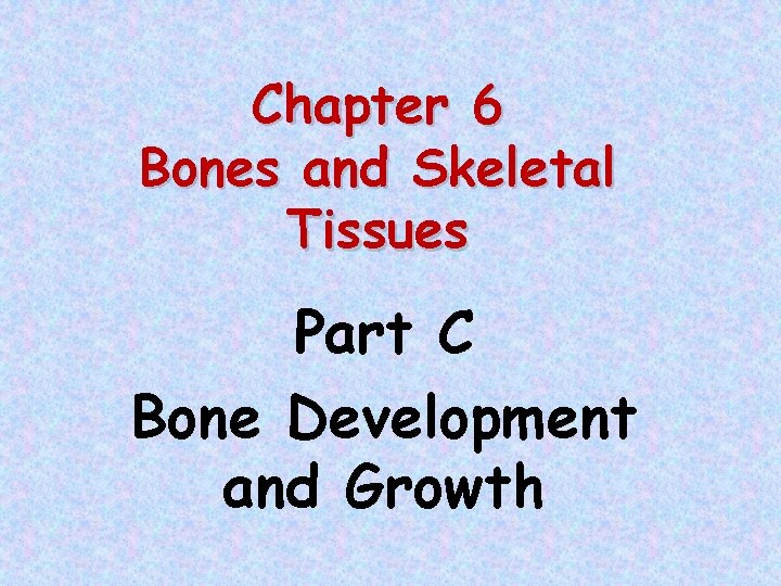 Chapter 6 Bones and Skeletal Tissues Part C Bone Development and Growth 