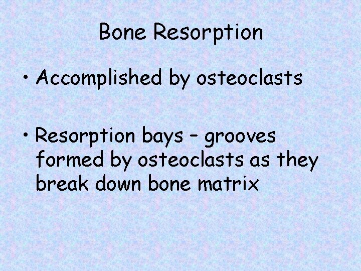 Bone Resorption • Accomplished by osteoclasts • Resorption bays – grooves formed by osteoclasts