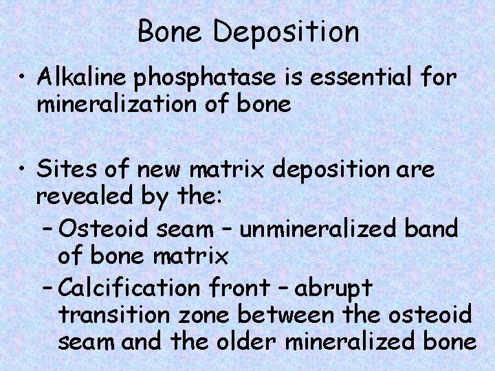 Bone Deposition • Alkaline phosphatase is essential for mineralization of bone • Sites of