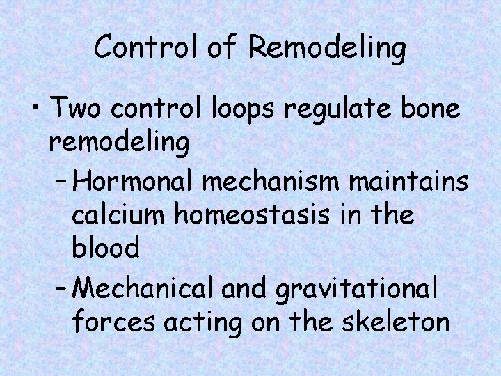Control of Remodeling • Two control loops regulate bone remodeling – Hormonal mechanism maintains