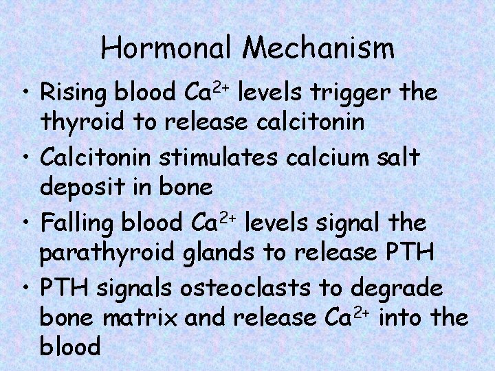 Hormonal Mechanism • Rising blood Ca 2+ levels trigger the thyroid to release calcitonin