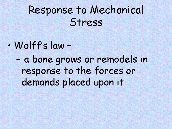 Response to Mechanical Stress • Wolff’s law – – a bone grows or remodels
