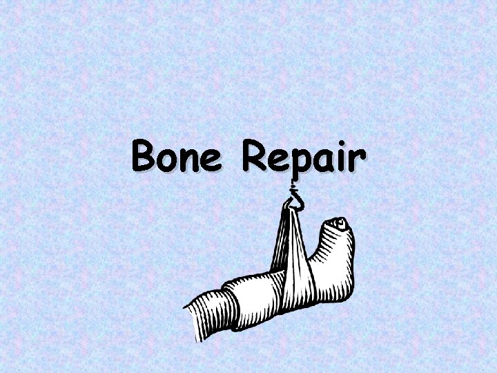 Bone Repair 