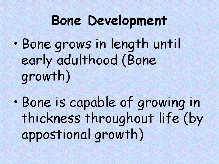 Bone Development • Bone grows in length until early adulthood (Bone growth) • Bone