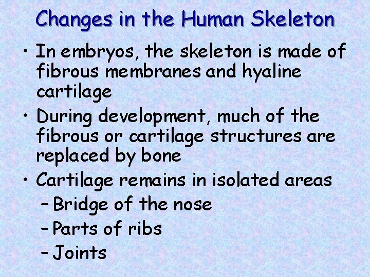 Changes in the Human Skeleton • In embryos, the skeleton is made of fibrous