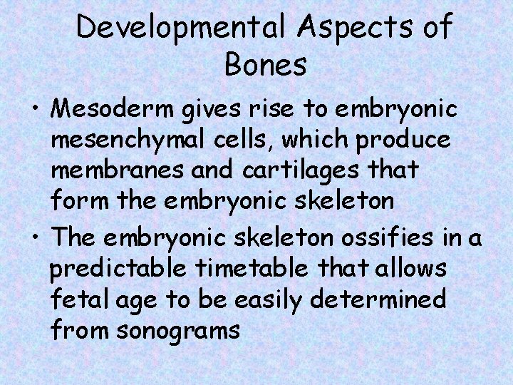 Developmental Aspects of Bones • Mesoderm gives rise to embryonic mesenchymal cells, which produce