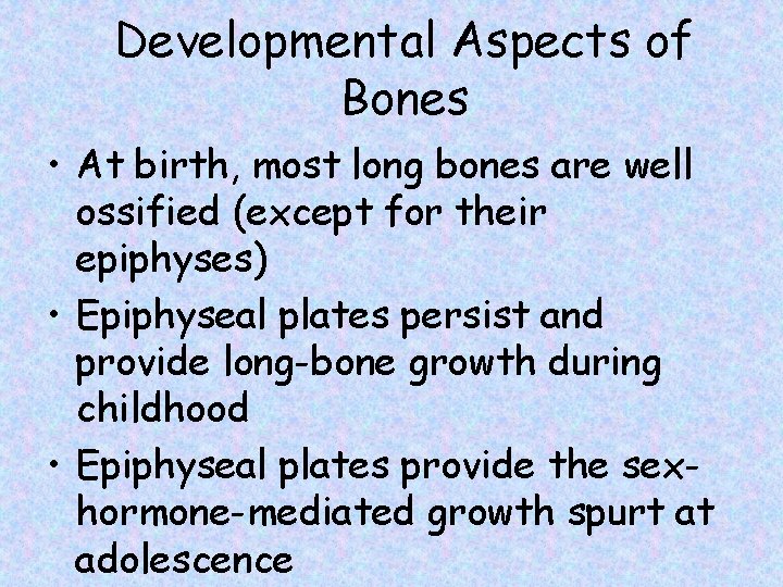 Developmental Aspects of Bones • At birth, most long bones are well ossified (except