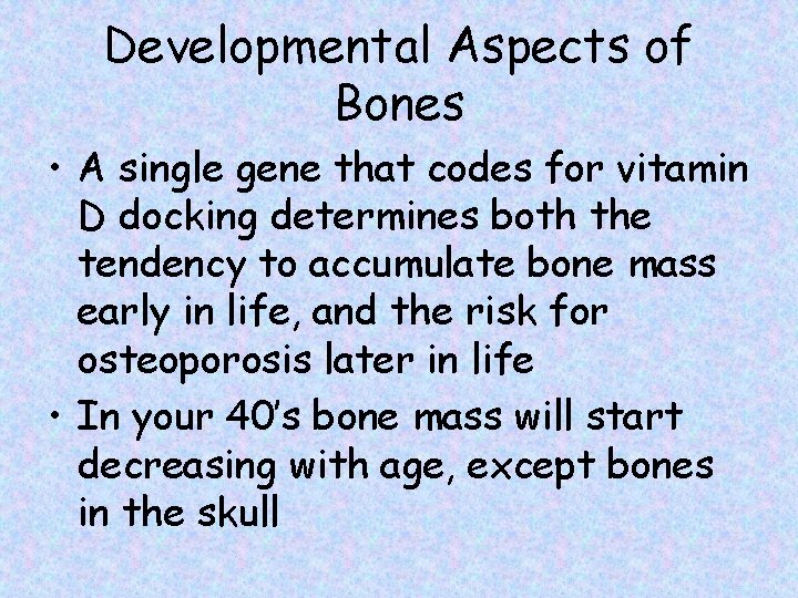 Developmental Aspects of Bones • A single gene that codes for vitamin D docking
