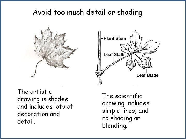 Avoid too much detail or shading The artistic drawing is shades and includes lots