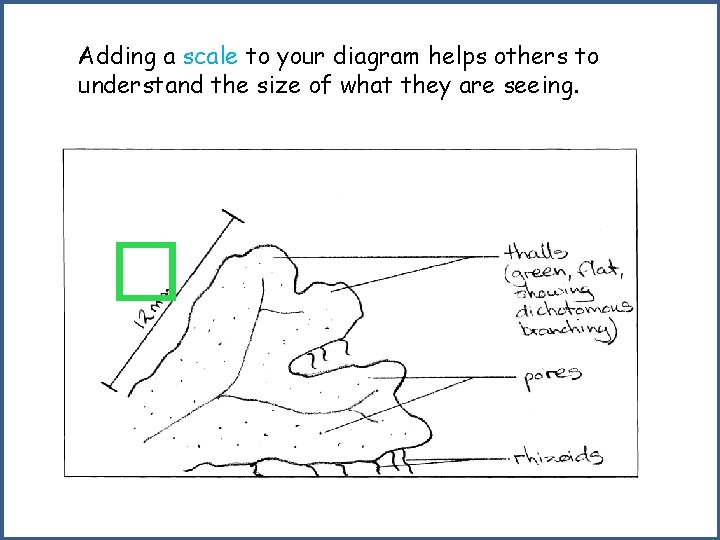 Adding a scale to your diagram helps others to understand the size of what