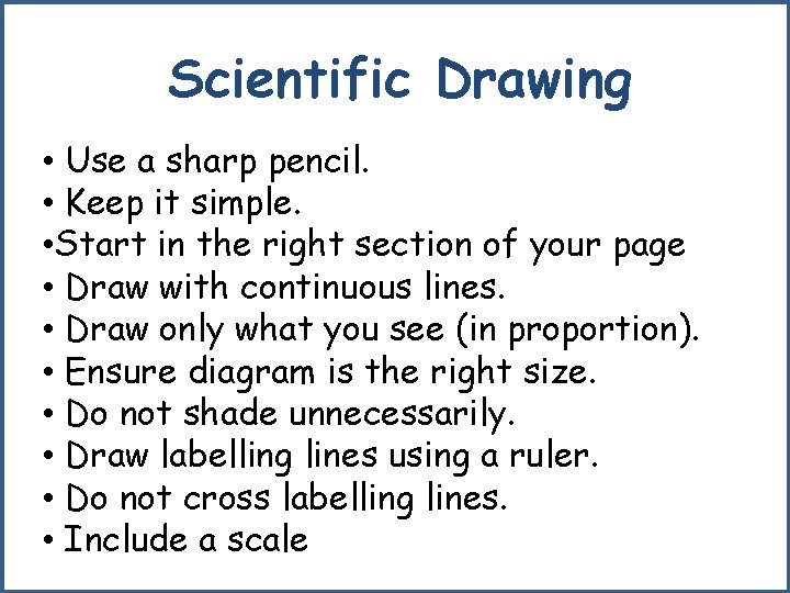 Scientific Drawing • Use a sharp pencil. • Keep it simple. • Start in
