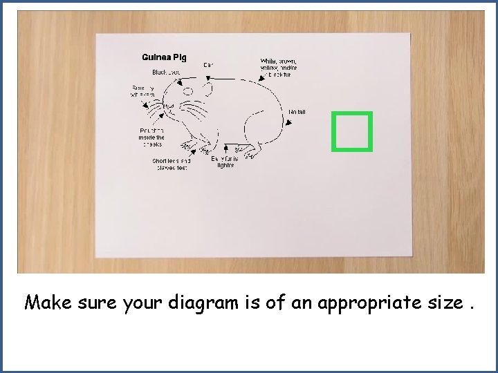 � Make sure your diagram is of an appropriate size. 