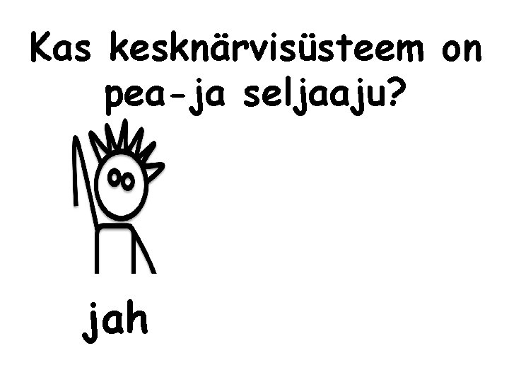 Kas kesknärvisüsteem on pea-ja seljaaju? jah 