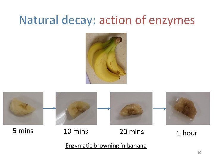 Natural decay: action of enzymes 5 mins 10 mins 20 mins 1 hour Enzymatic