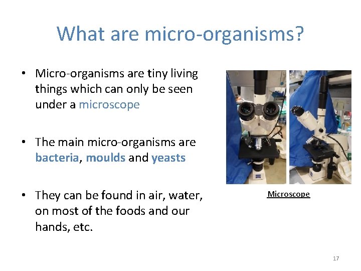 What are micro-organisms? • Micro-organisms are tiny living things which can only be seen