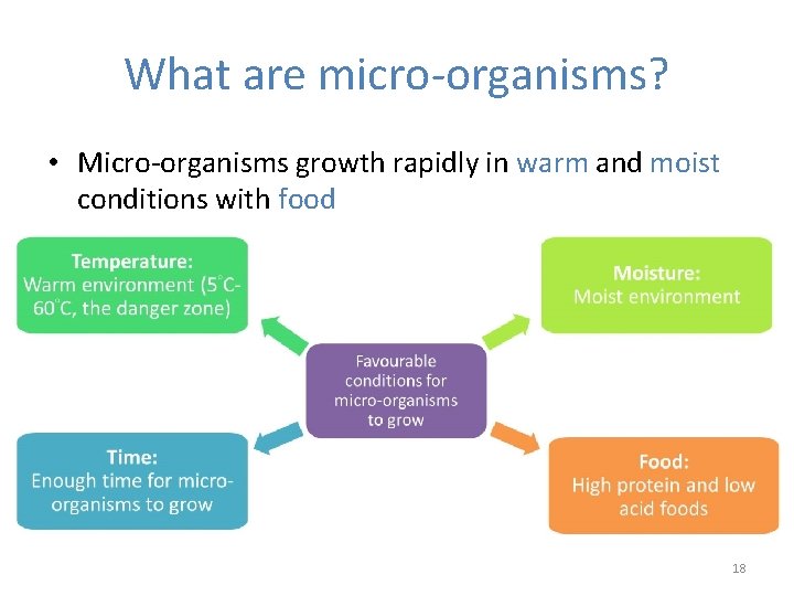 What are micro-organisms? • Micro-organisms growth rapidly in warm and moist conditions with food