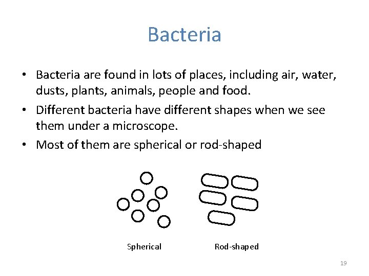 Bacteria • Bacteria are found in lots of places, including air, water, dusts, plants,