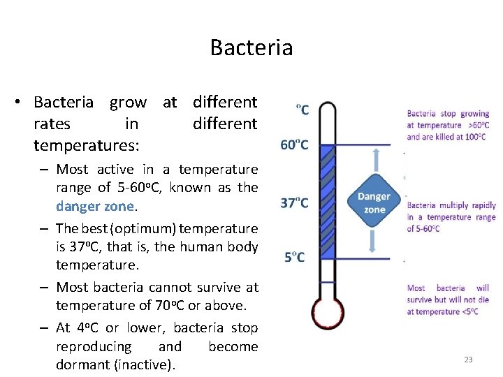 Bacteria • Bacteria grow at different rates in different temperatures: – Most active in