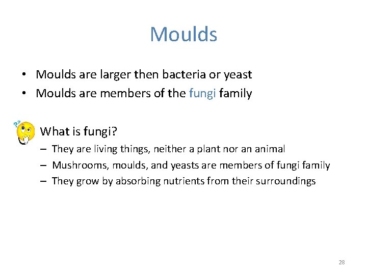 Moulds • Moulds are larger then bacteria or yeast • Moulds are members of