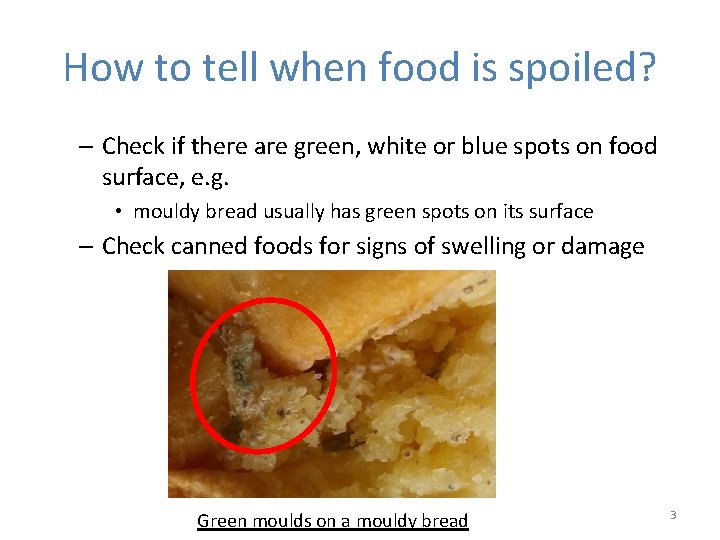 How to tell when food is spoiled? – Check if there are green, white