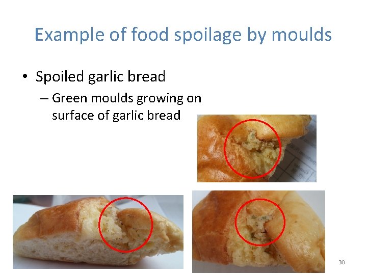 Example of food spoilage by moulds • Spoiled garlic bread – Green moulds growing