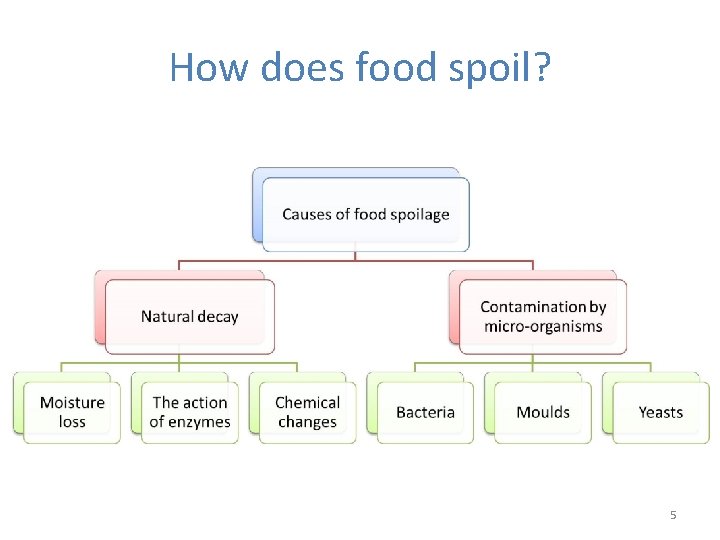 What is food spoilage Food spoilage means undesirable
