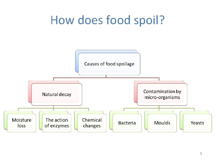 How does food spoil? 5 