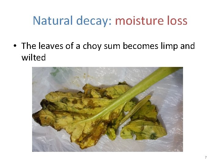 Natural decay: moisture loss • The leaves of a choy sum becomes limp and