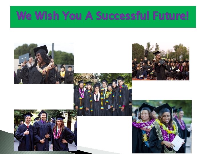 We Wish You A Successful Future! crow. robin 25@gmail. com 