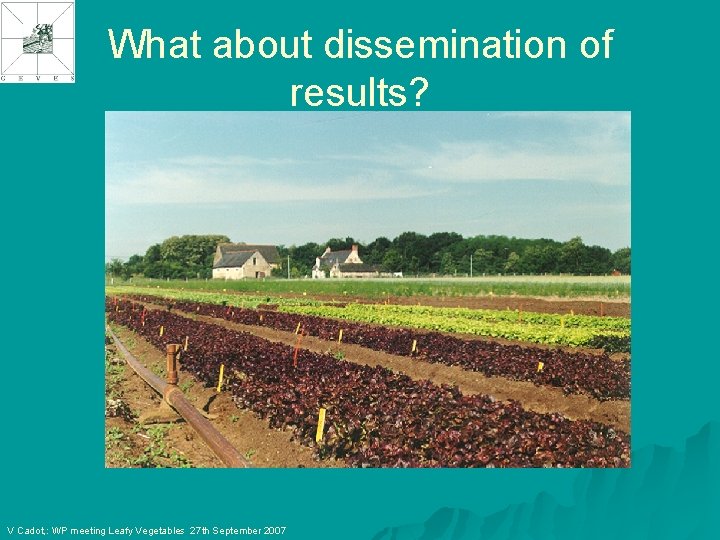 What about dissemination of results? V Cadot, : WP meeting Leafy Vegetables 27 th