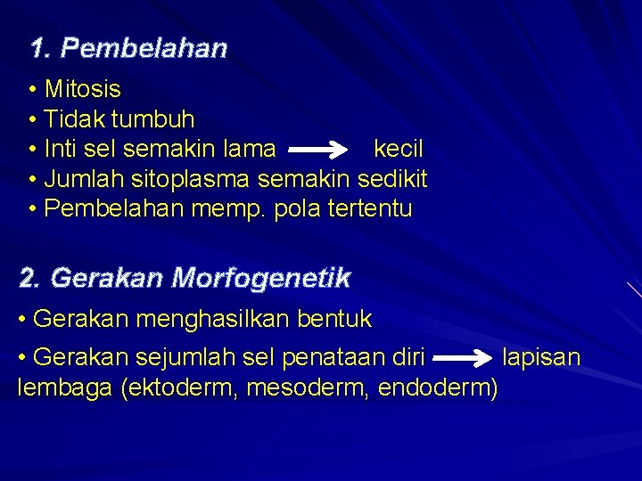 1. Pembelahan • Mitosis • Tidak tumbuh • Inti sel semakin lama kecil •