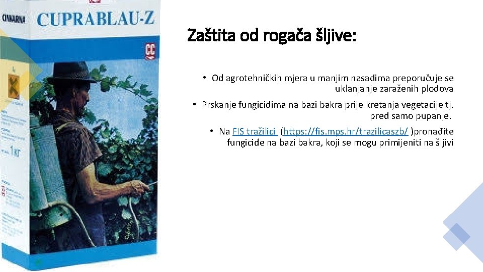 Zaštita od rogača šljive: • Od agrotehničkih mjera u manjim nasadima preporučuje se uklanjanje